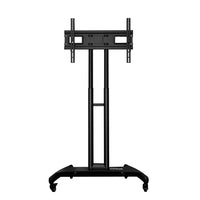 Vertical Stand